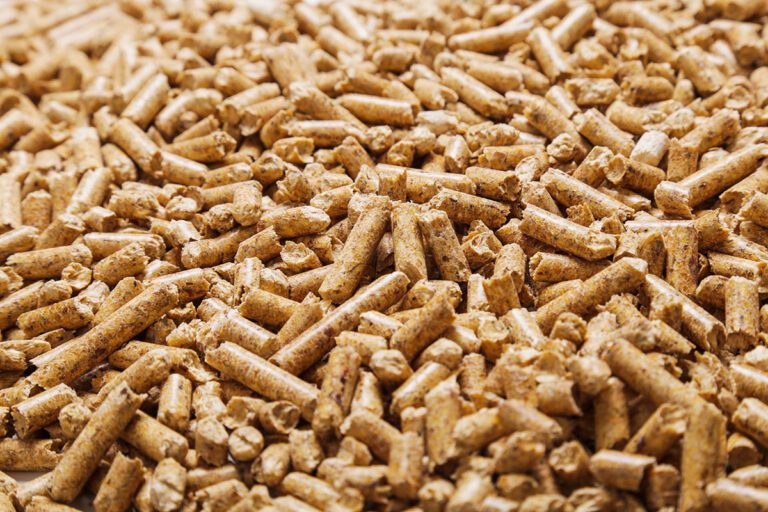 What is Biomass?